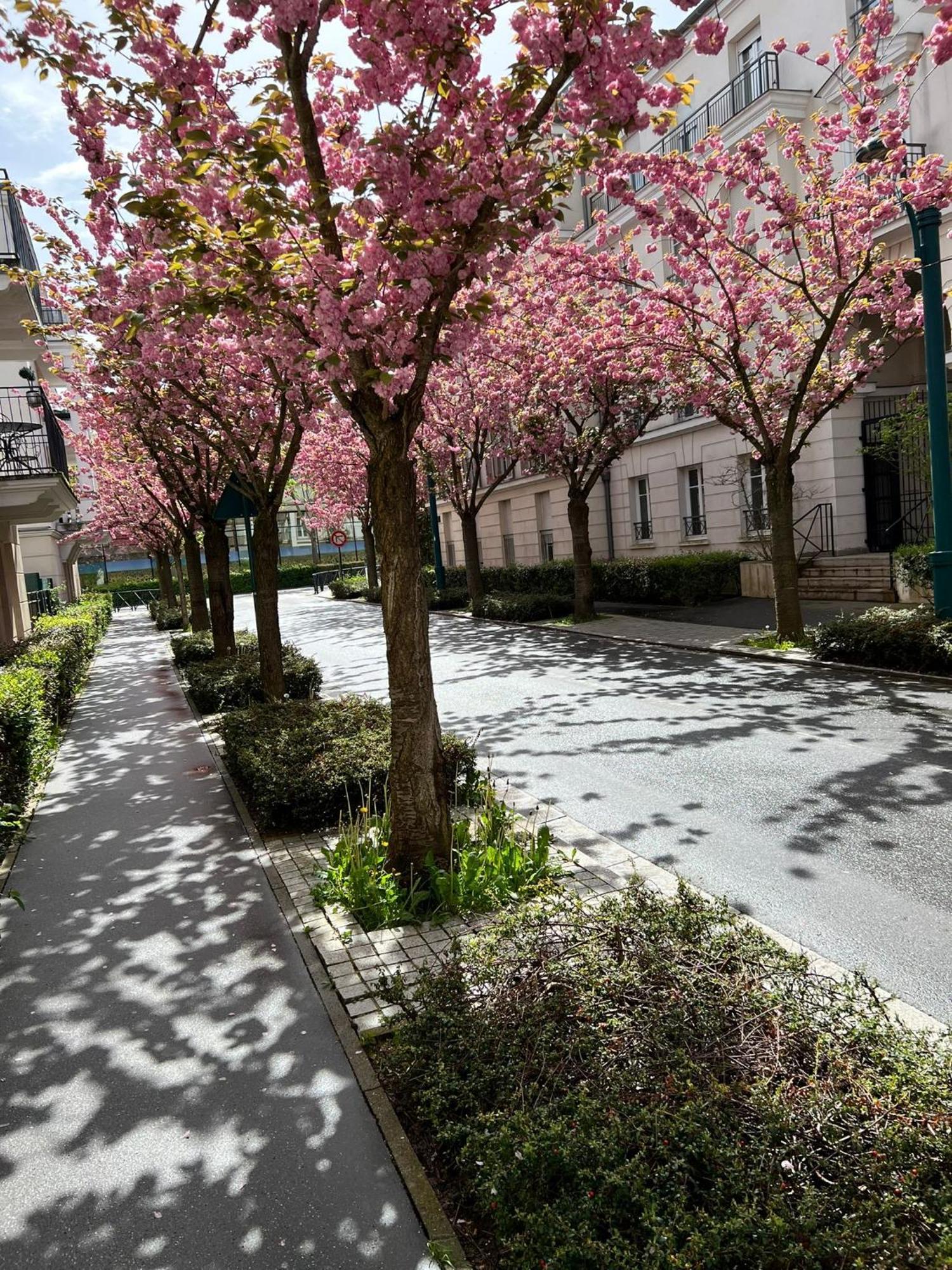 Sweet Appartement Disneyland Paris Parking 300M Station Val D'Europe Chessy  Esterno foto